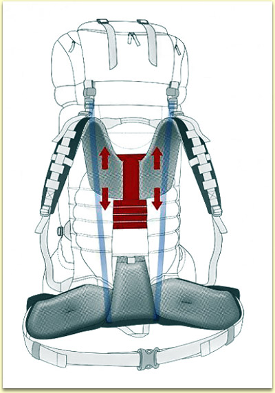 Схема подвесной системы рюкзака